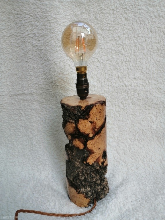 Elm burr lamp by Mike Macey